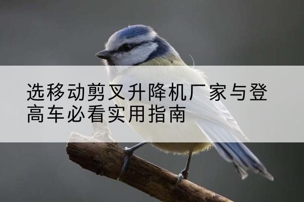 格尔木电动升降机厂家-选移动剪叉升降机厂家与登高车必看实用指南