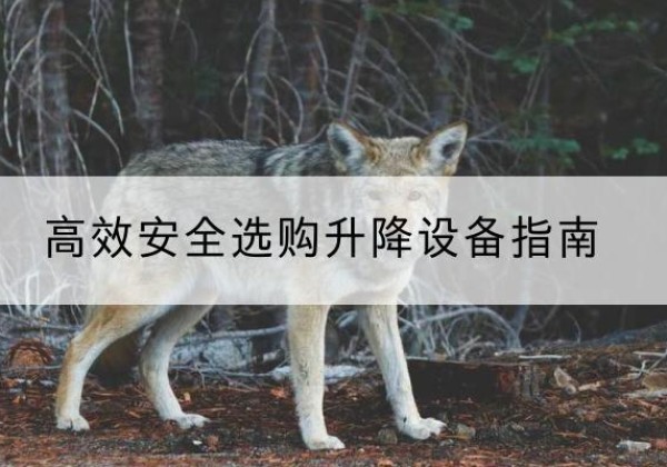 格尔木升降货梯厂家推荐-*安全选购升降设备指南