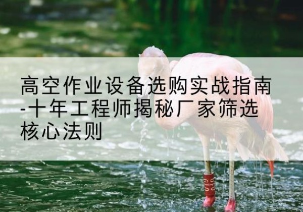 格尔木剪叉式升降机厂家-高空作业设备选购实战指南-十年工程师揭秘厂家筛选核心法则